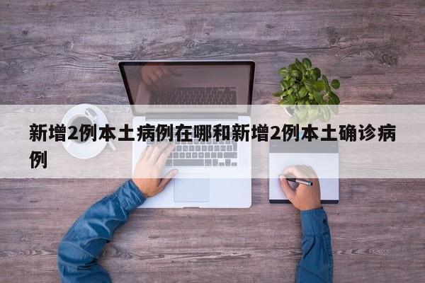 新增2例本土病例在哪和新增2例本土确诊病例