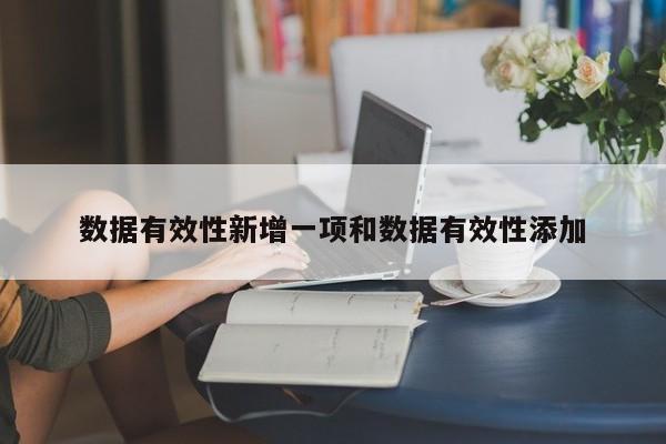 数据有效性新增一项和数据有效性添加