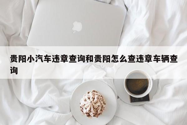 贵阳小汽车违章查询和贵阳怎么查违章车辆查询