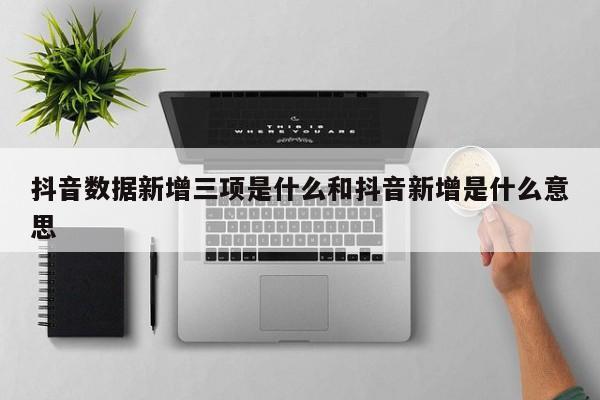 抖音数据新增三项是什么和抖音新增是什么意思