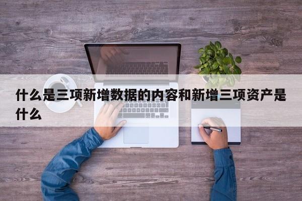 什么是三项新增数据的内容和新增三项资产是什么