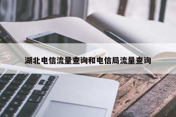 湖北电信流量查询和电信局流量查询