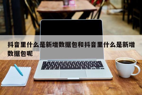 抖音里什么是新增数据包和抖音里什么是新增数据包呢