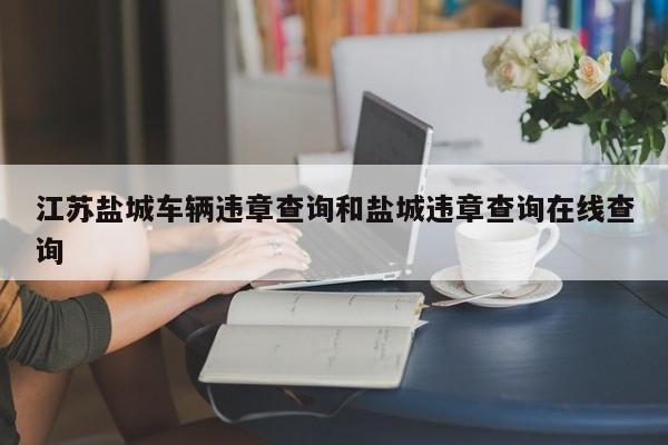 江苏盐城车辆违章查询和盐城违章查询在线查询