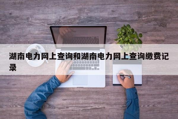 湖南电力网上查询和湖南电力网上查询缴费记录