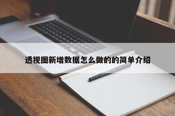 透视图新增数据怎么做的的简单介绍