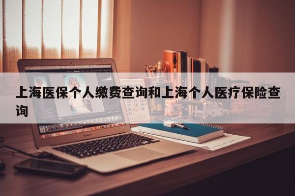 上海医保个人缴费查询和上海个人医疗保险查询