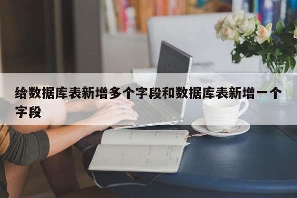 给数据库表新增多个字段和数据库表新增一个字段