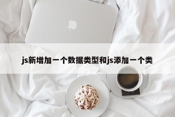 js新增加一个数据类型和js添加一个类