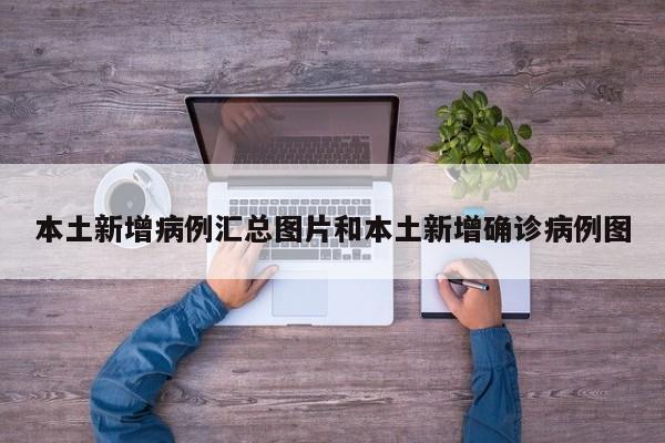 本土新增病例汇总图片和本土新增确诊病例图