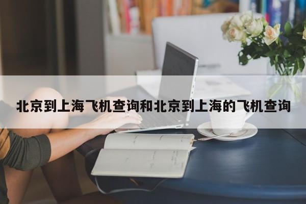北京到上海飞机查询和北京到上海的飞机查询